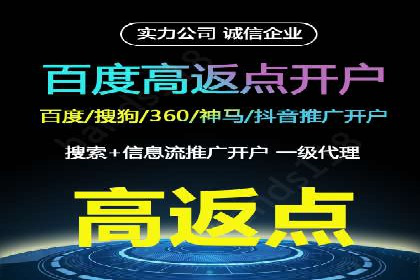 竞价排名失败案例：原因与教训