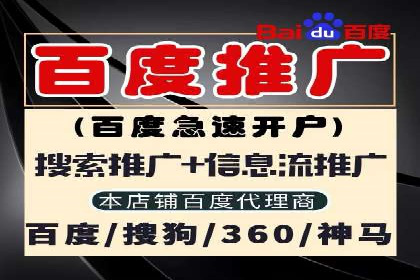 SEM关键词优化实战案例分析